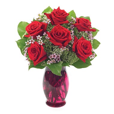 25550092_10156554026612788_3171720905244918701_n